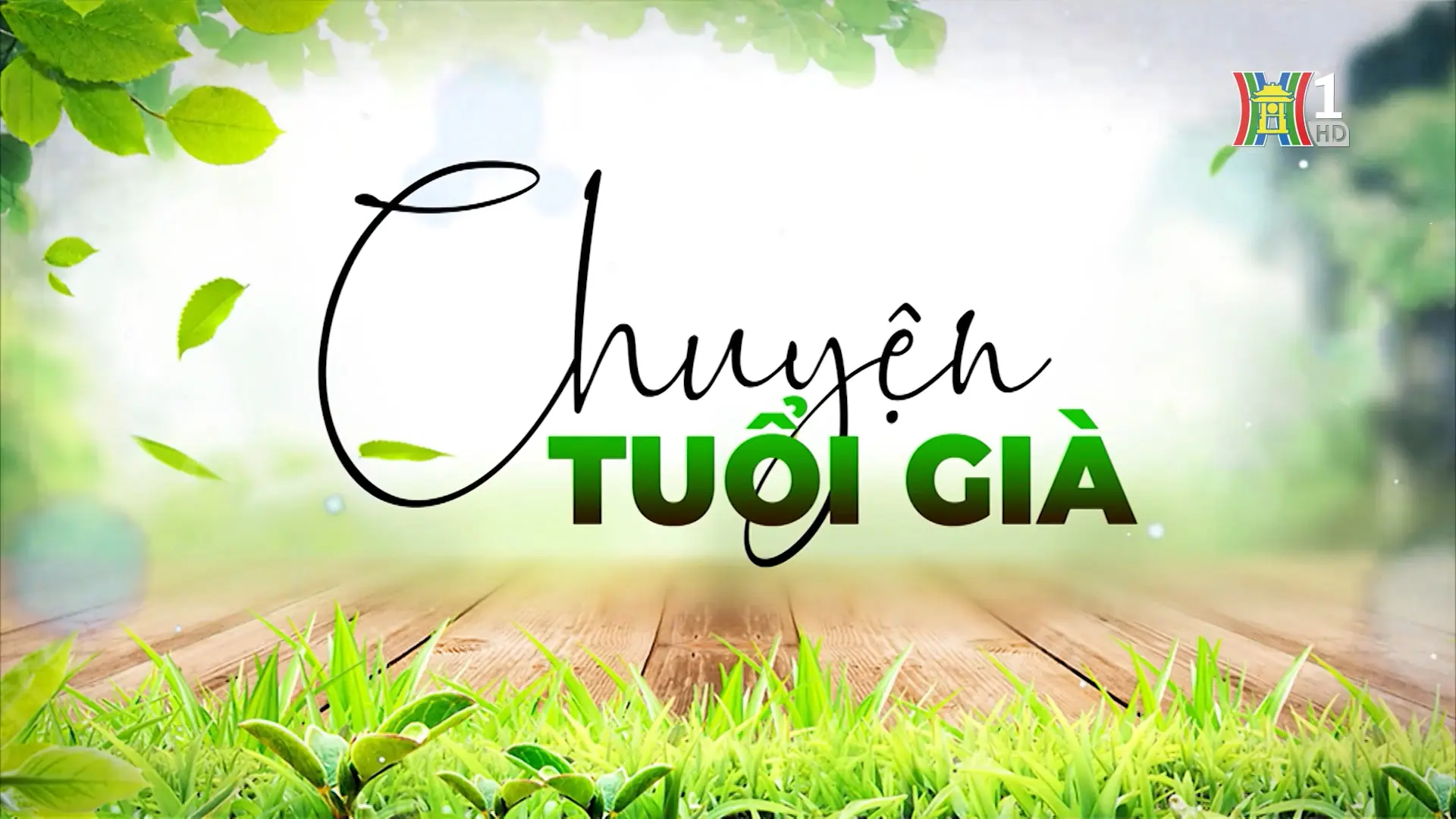 Viện dưỡng lão, người cao tuổi tìm thấy sự an yên | Chuyện tuổi già | 09/11/2025